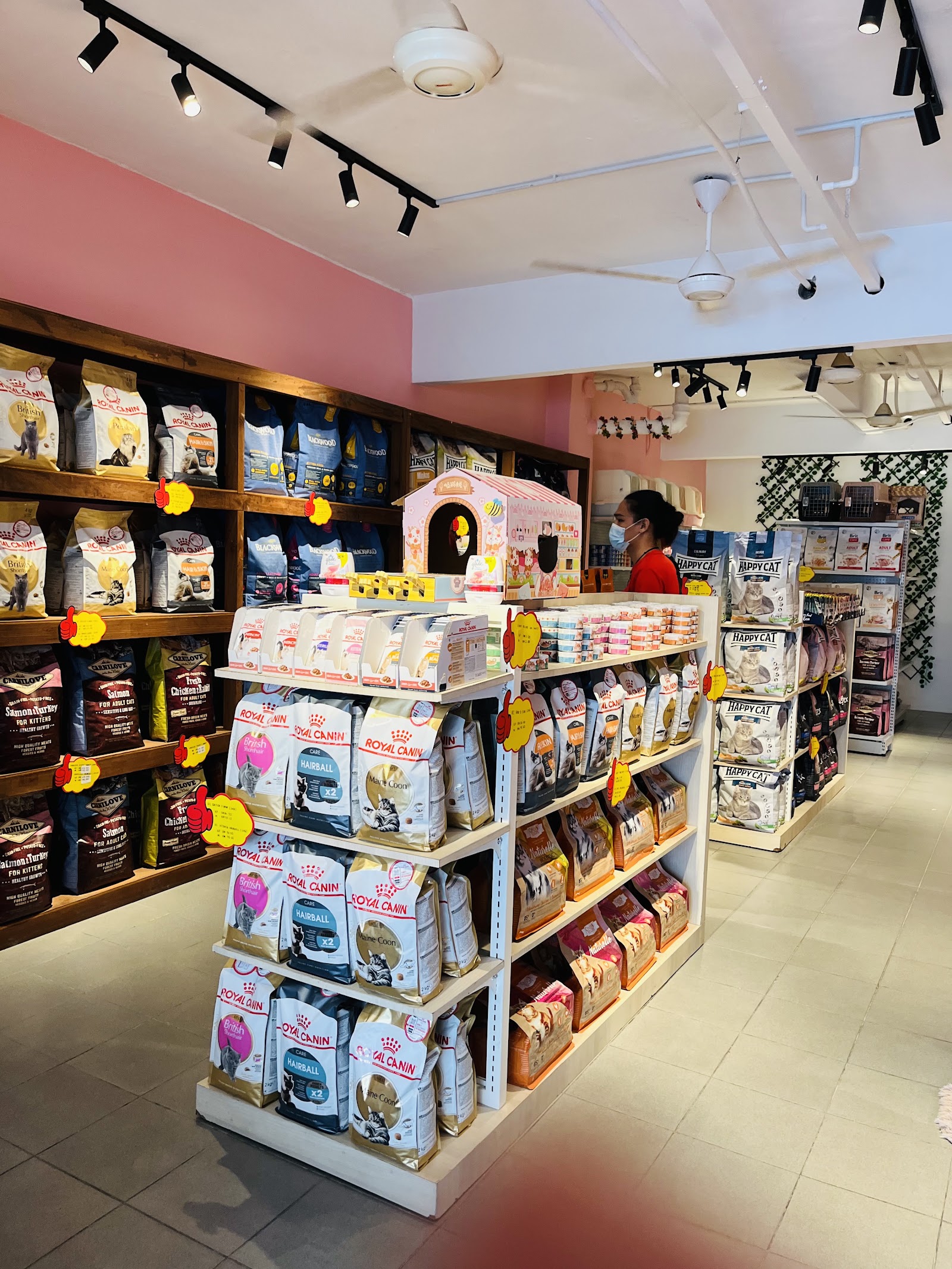 kittycat grocery 10